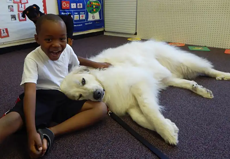 School kid petting dog